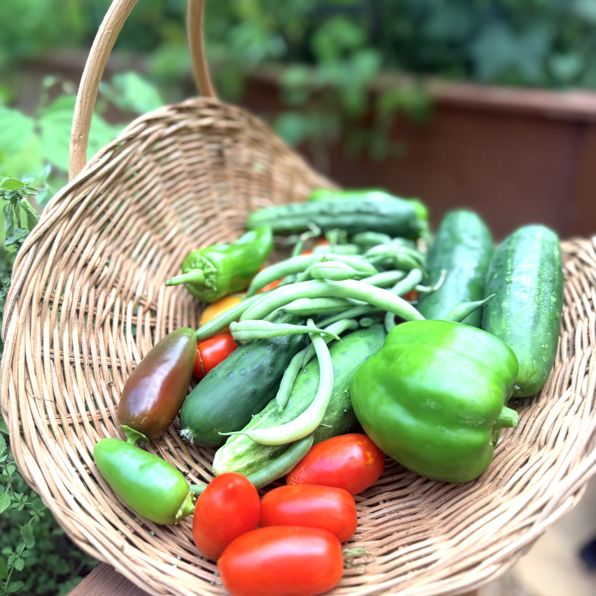 Start Your Kitchen Garden